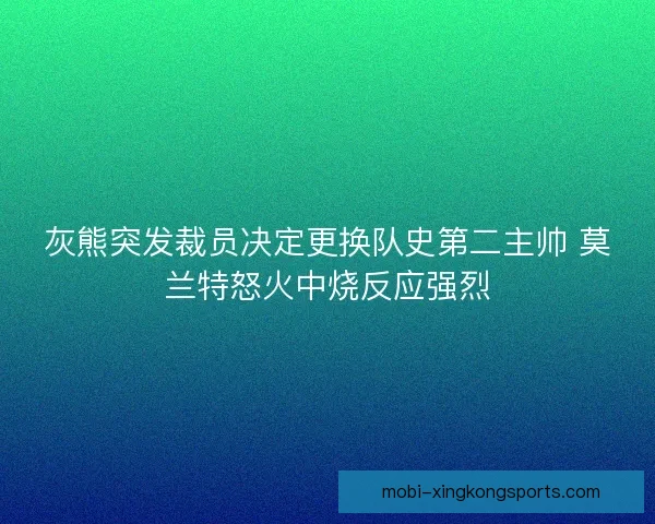灰熊突发裁员决定更换队史第二主帅 莫兰特怒火中烧反应强烈