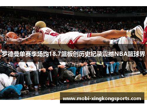 罗德曼单赛季场均18.7篮板创历史纪录震撼NBA篮球界