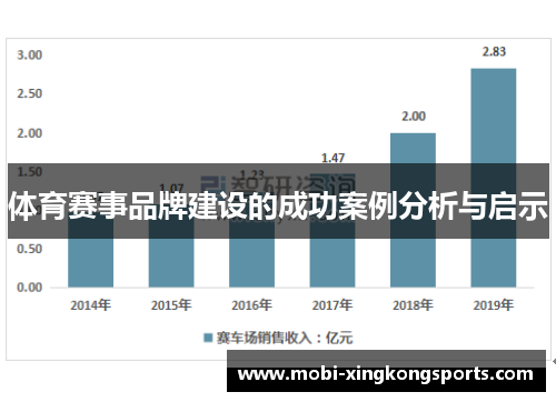 体育赛事品牌建设的成功案例分析与启示