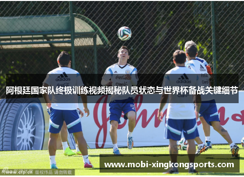 阿根廷国家队终极训练视频揭秘队员状态与世界杯备战关键细节