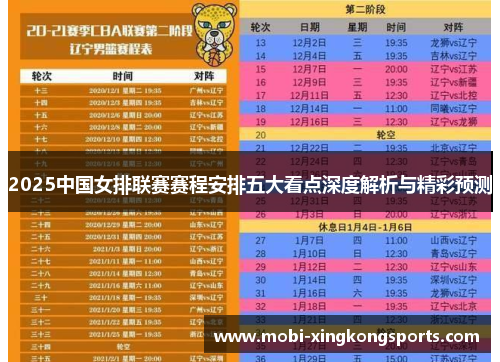 2025中国女排联赛赛程安排五大看点深度解析与精彩预测