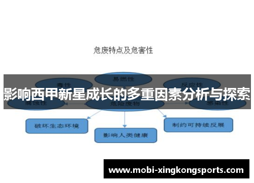 影响西甲新星成长的多重因素分析与探索