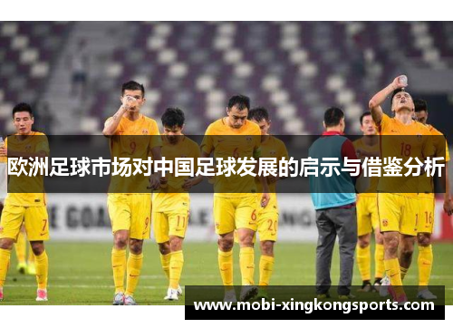 欧洲足球市场对中国足球发展的启示与借鉴分析