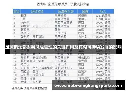 足球俱乐部财务风险管理的关键作用及其对可持续发展的影响