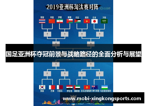 国足亚洲杯夺冠前景与战略路径的全面分析与展望