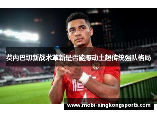 费内巴切新战术革新是否能撼动土超传统强队格局