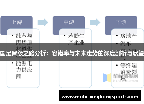 国足晋级之路分析：容错率与未来走势的深度剖析与展望