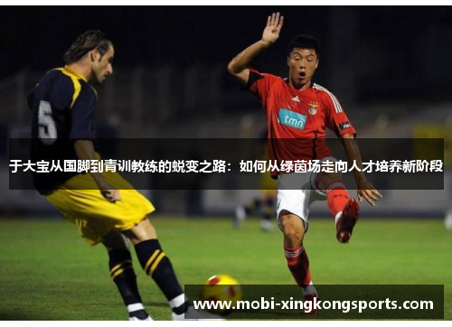于大宝从国脚到青训教练的蜕变之路：如何从绿茵场走向人才培养新阶段