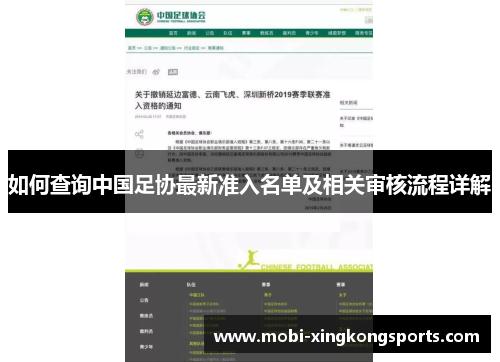 如何查询中国足协最新准入名单及相关审核流程详解