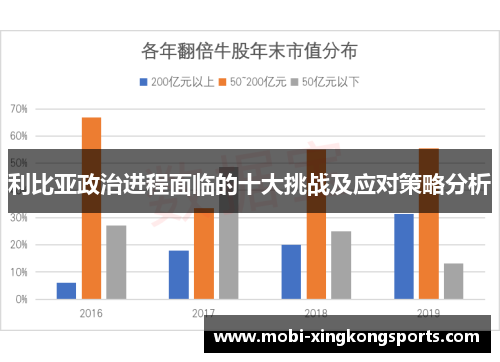 利比亚政治进程面临的十大挑战及应对策略分析