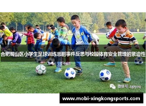 合肥蜀山区小学生足球训练悲剧事件反思与校园体育安全管理的紧迫性