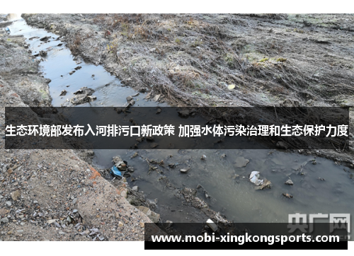 生态环境部发布入河排污口新政策 加强水体污染治理和生态保护力度