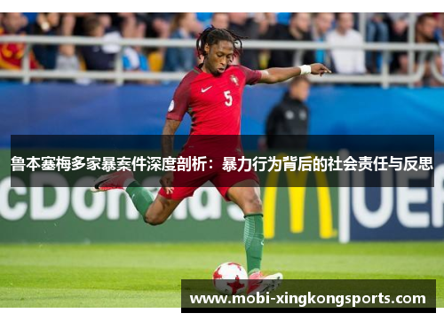 鲁本塞梅多家暴案件深度剖析：暴力行为背后的社会责任与反思
