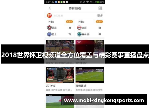 2018世界杯卫视频道全方位覆盖与精彩赛事直播盘点