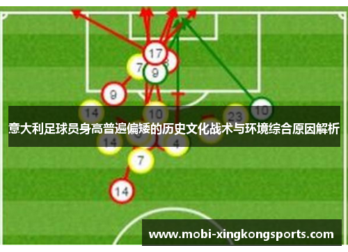 意大利足球员身高普遍偏矮的历史文化战术与环境综合原因解析