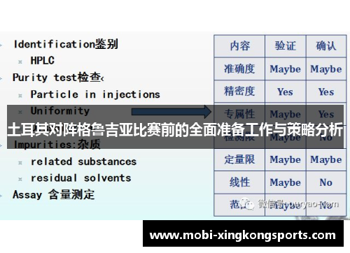 土耳其对阵格鲁吉亚比赛前的全面准备工作与策略分析