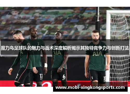 魔力鸟足球队的魅力与战术深度解析揭示其独特竞争力与创新打法