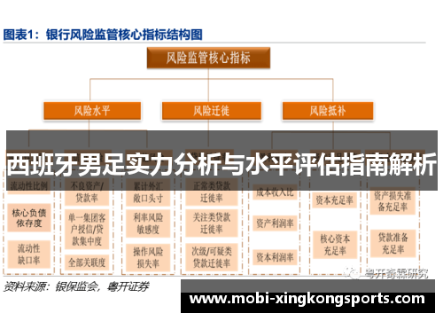 西班牙男足实力分析与水平评估指南解析